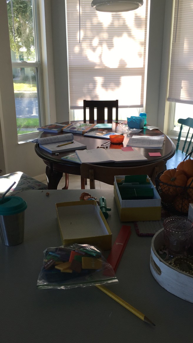 17FE46CE-2523-4302-819C-687D9F5B5A07